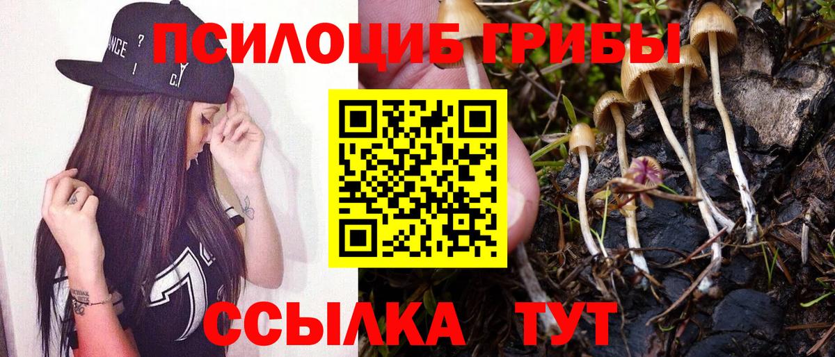Псилоцибиновые грибы GOLDEN TEACHER Новоалександровск