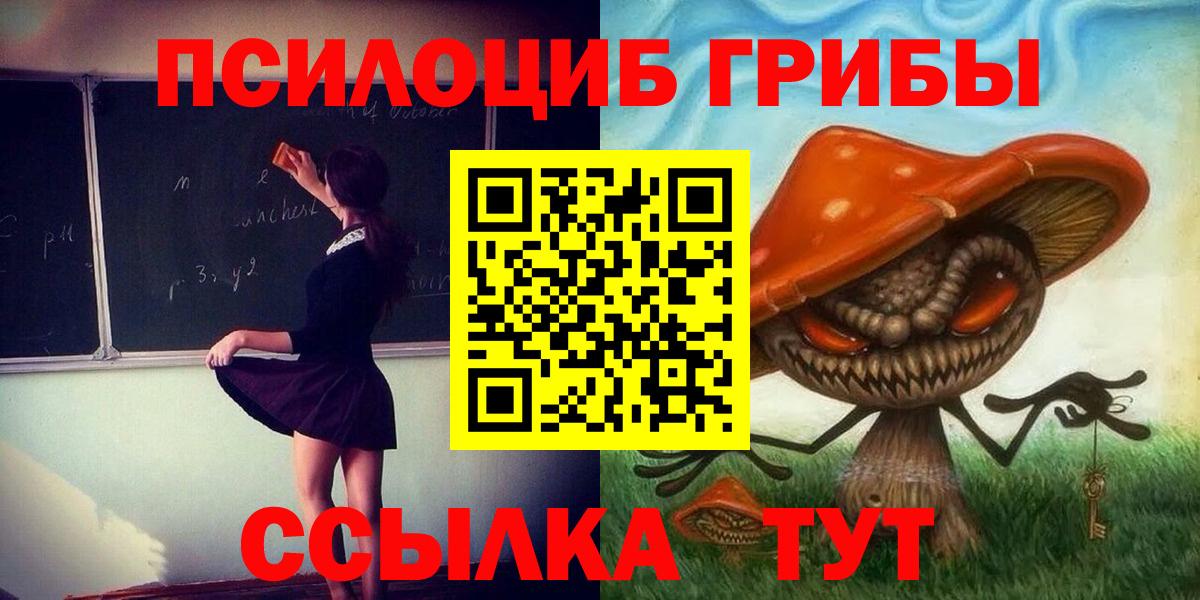 Новоалександровск  Псилоцибиновые грибы мухоморы  Вход с VPN 