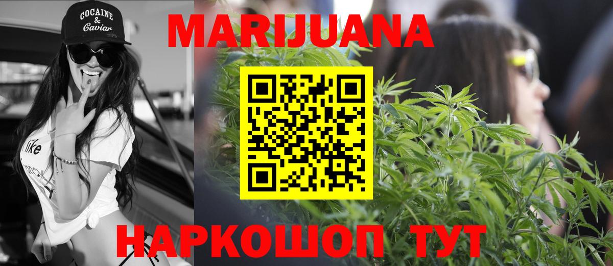 Конопля план Новоалександровск